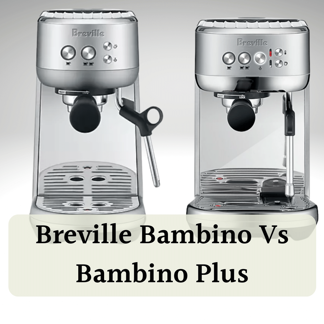 Breville Bambino Vs Bambino Plus: Hands On Comparison