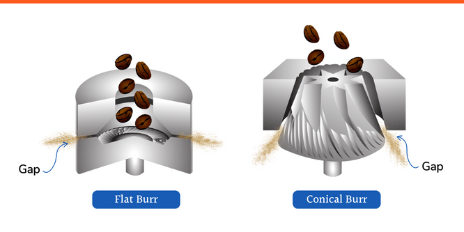 a flat burr next to a conical burr for a coffee grinder