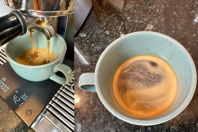 Why Your Espresso Tastes Sour And Bitter (and How To Fix It)