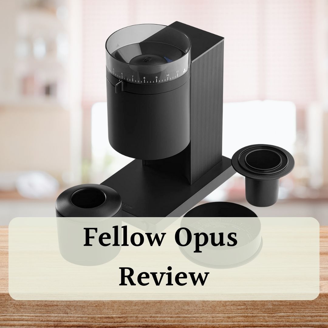 Fellow Opus Review featured image