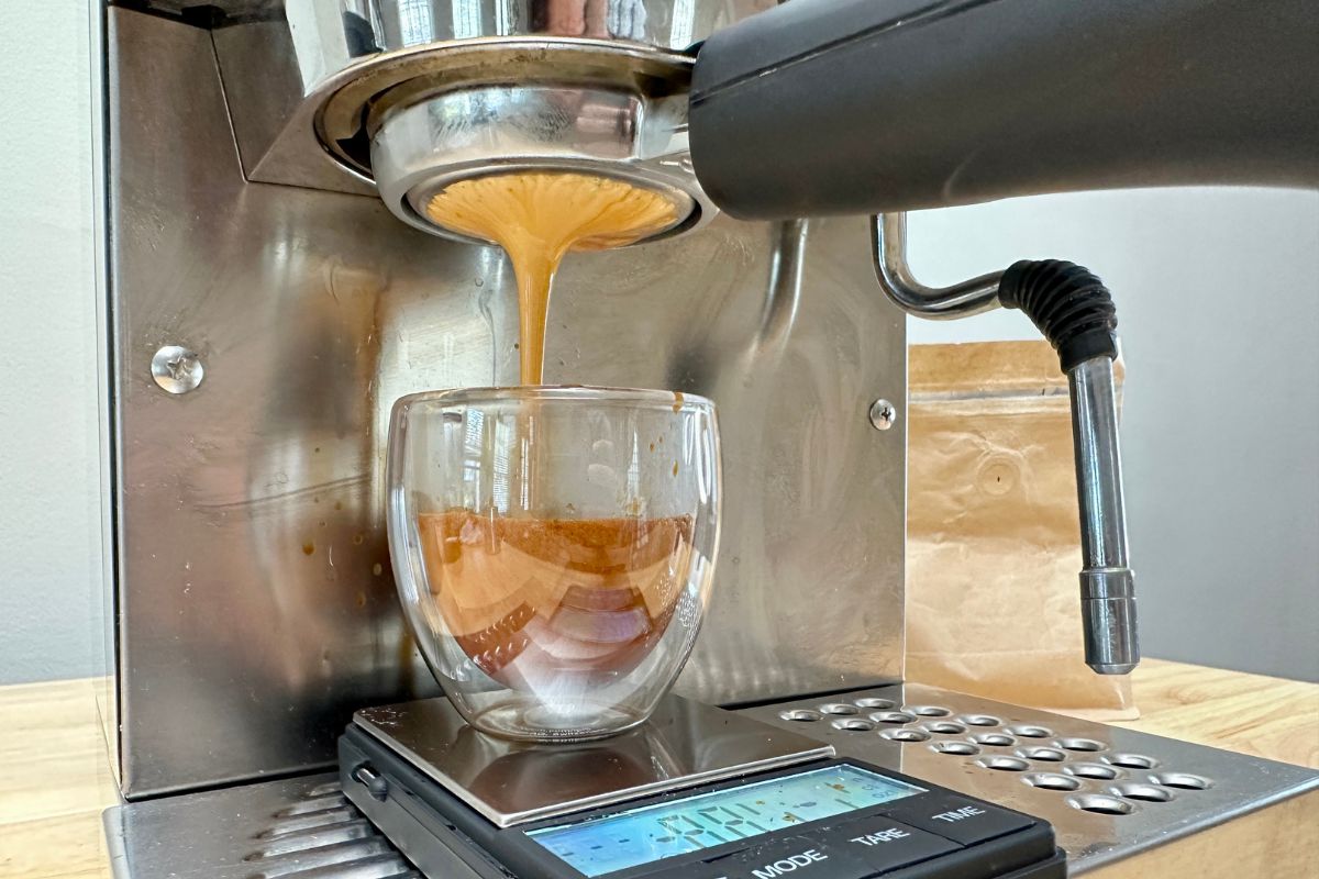 Rancilio Silvia espresso brewing