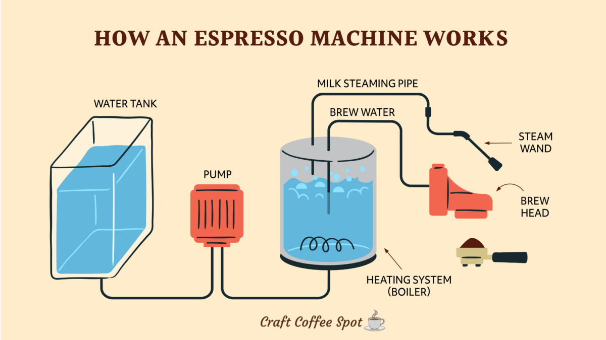 infographic of how an espresso machine works, showing flow of water through an espresso machine