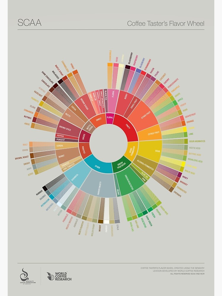 A wheel represents flavors of coffee.